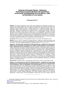 Ostracods of the Upper Pliocene - Pleistocene Punta