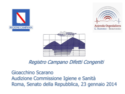 Audizione dottor Gioacchino Scarano, responsabile del Registro