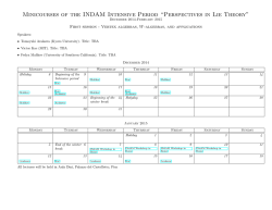 Minicourses of the INDAM Intensive Period &ldquo;Perspectives in Lie