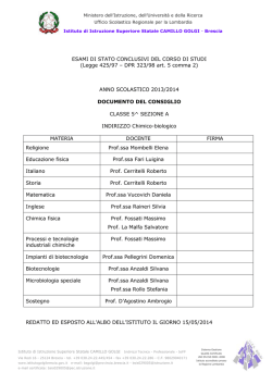 documento 15 maggio 5^A chimico 2013-14