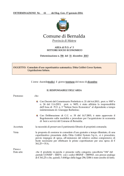 R.G. n. 61 - 13 - det. liq. Colibr&igrave; Cover System