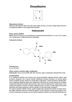 Ossadiazine - Prontuario Muccinelli