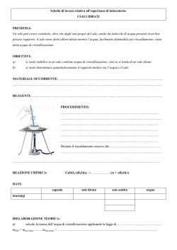 Scheda di lavoro relativa ai sali idrati