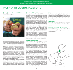 PATATA DI CESIOMAGGIORE