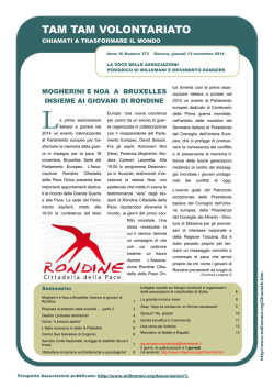 "Tam Tam Volontariato" n. 373 del 13/11/2014