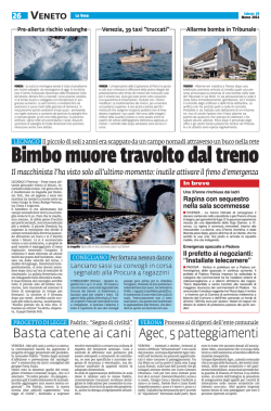 Basta catene ai cani Agec, 5 patteggiamenti
