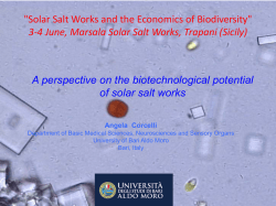 4 Corcelli Angela - Biotechnological Potential of Solar Salt