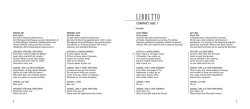 LIBRETTO - Despre Opera