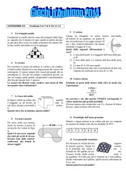 C2 - www.icnegrar.org