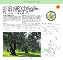 Atlante DOP-IGP.indb - Veneto Agricoltura