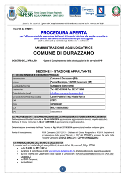 bando proc aperta esecuz off econ + vant 18 nov 09