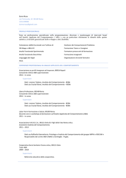 CV Professionale Dario Rizzo