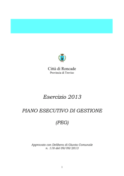 Esercizio 2013 - Citt&agrave; di Roncade