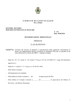 DETERMINA 131 DI IMPEGNO