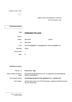 curriculum fernando europa ottobre 2014 sito SUA