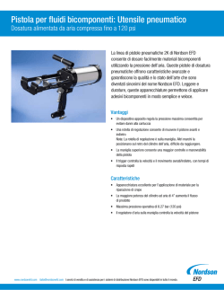 Attrezzi pneumatici - Nordson Corporation