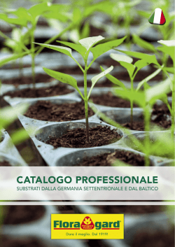 CATALOGO PROFESSIONALE