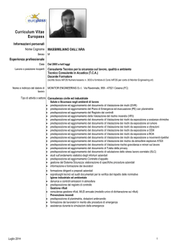 Curriculum Vitae Europass