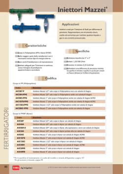 Iniettori Mazzei*