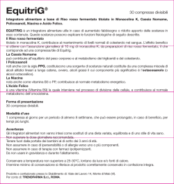 Foglietto illustrativo Equitrig