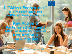 Partenariati, alleanze e Jean Monnet come strumento di