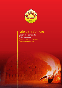 Pale per infornare - ICS Ticino