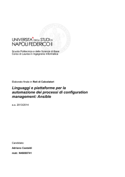 Elaborato Castaldi Adriano N46000741