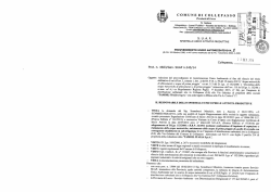 tipo: application/pdf , dimensione 138430 KB