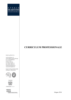 CURRICULUM PROFESSIONALE - STUDIO ING. MARTINI Srl