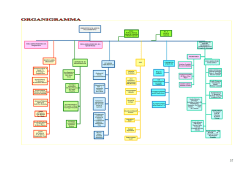 R.L.S. Loreto M. Gabriella R.S.U. Di Rocco Patrizia Loreto M