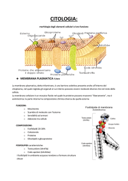 CITOLOGIA: - Il-Cubo