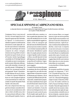 SPECIALE SPINONI A CARPIGNANO SESIA