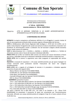 Atto M P 133 del 10 07 2014
