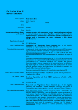 Curriculum Vitae di Marco Sambataro