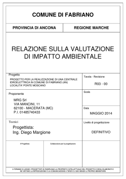 relazione sulla valutazione di impatto ambientale