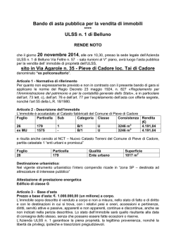 Bando Asta Pubblica application | PDF