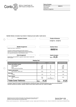 Totale Conto Telefonico 81,25 81,25