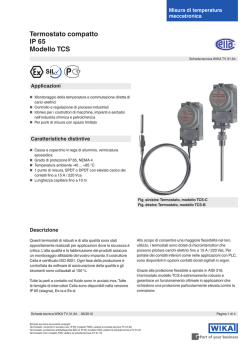 Termostato compatto IP 65 Modello TCS