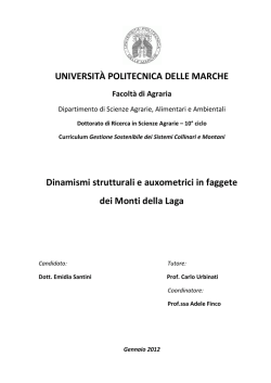 UNIVERSIT&Agrave; POLITECNICA DELLE MARCHE Dinamismi strutturali