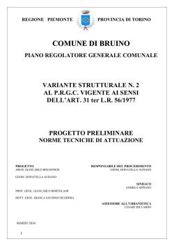 norme tecniche attuazione