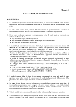schede merceologiche
