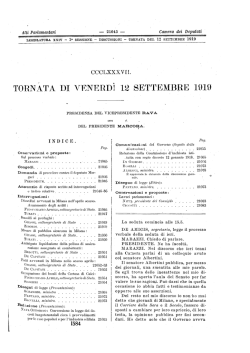 resoconto stenografico