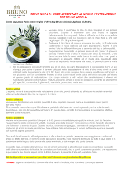 brochure olio BRUNO