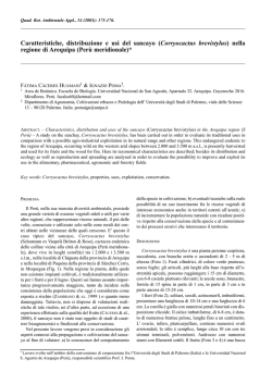 Caratteristiche, distribuzione e usi del sancayo