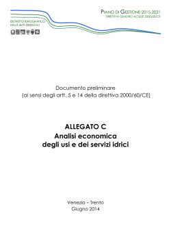 ALLEGATO C Analisi economica degli usi e dei