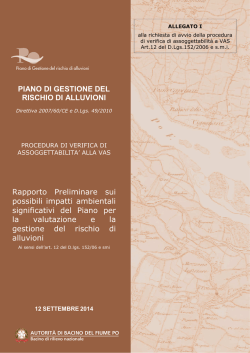 PIANO DI GESTIONE DEL RISCHIO DI ALLUVIONI Rapporto