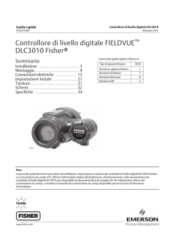 Controllore di livello digitale FIELDVUE DLC3010 Fisherr