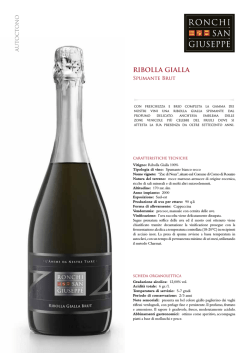RIBOLLA GIALLA - Azienda Agricola Ronchi San Giuseppe