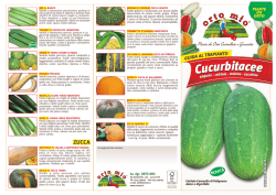 Cucurbitacee Cucurbitacee