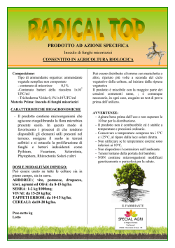 RADICAL TOP - Special Agri